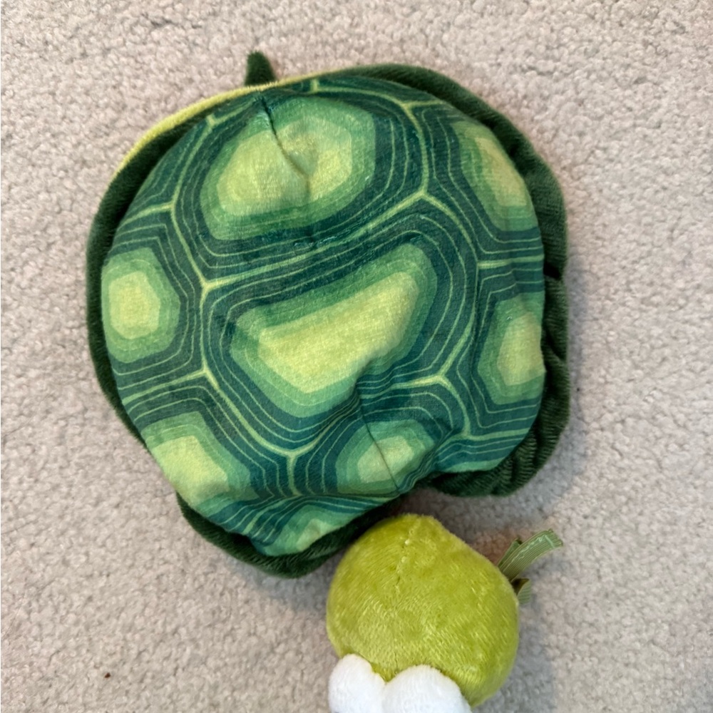 Green Turtle dog costume